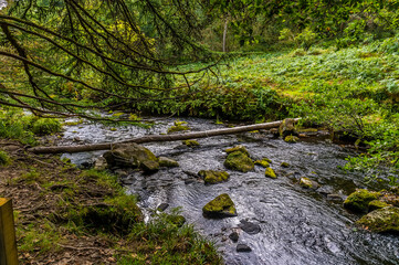 Obraz premium A view of a beginning of a leaky dam on Hebden Beck on the outskirts of Hebden Bridge, Yorkshire, UK in summertime