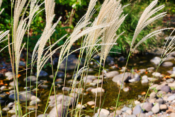 情緒あふれる風景