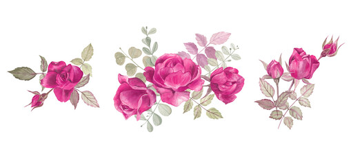 Set of floral arrangements of the purple roses painted in watercolor. For greeting cards, wedding invitations and decor, stationery, plates, mugs, stickers and more. Modern vintage style, botanical. 