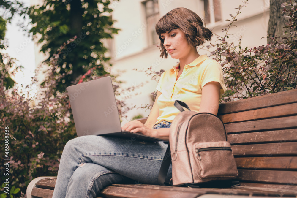 Sticker Photo of serious charming focused young woman hold hands computer sit bench outside outdoors city town