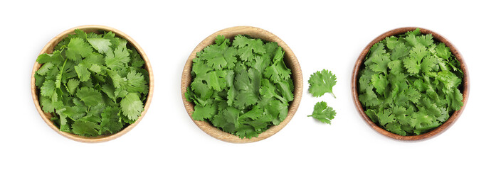 Set with fresh coriander on white background, top view. Banner design