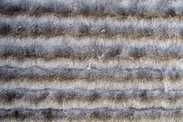Very Dirty Air Filter Detail