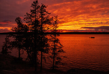 sunset and pine trees on Gowganda lake Gowganda Ontario