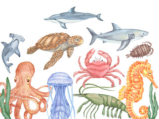 Watercolor Underwater creatures. Jelly Fish, Octopus, Sea Turtle, Sea Horse, Crab, Shark, Cancer and hammerhead fish