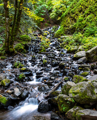 Fototapeta premium Starvation Creek Falls in the Columbia Gorge, Oregon, Taken in Autumn