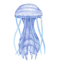 Watercolor Underwater creatures Blue Jelly Fish, Hand drawn illustration