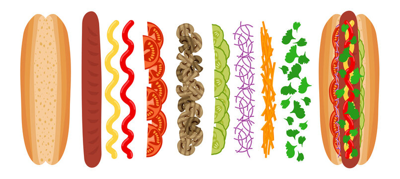hot dog ingredients bun sausage mustard ketchup tomatoes mushrooms pickles onion carrot parsley vector illustration