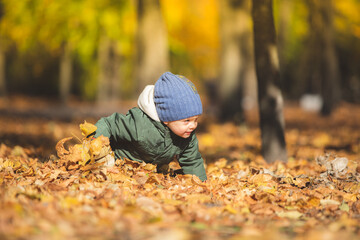 boy in autumn leaves