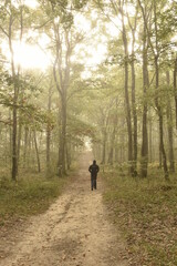 randonn&eacute;e dans la brume le matin