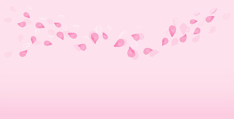 Pink flying petals isolated on Pink gradient background. Sakura Roses petals. Vector
