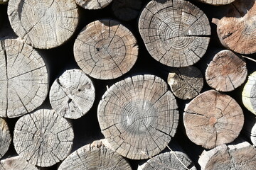 Troncos apilados formando mosaico