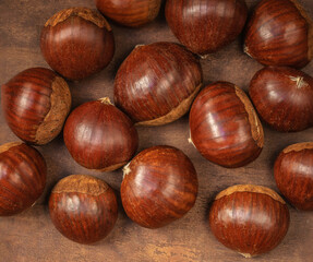 Chestnuts on on an old board with copy space. Autumn fall concept. Horse chestnuts top view.