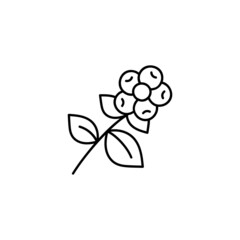 Coffee tree  icon in flat black line style, isolated on white 