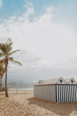 Obraz premium beach with palms