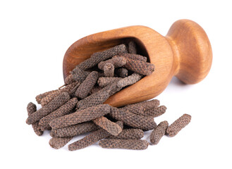 Long pepper in wooden scoop, isolated on white background. Heap of pippali or piper longum.