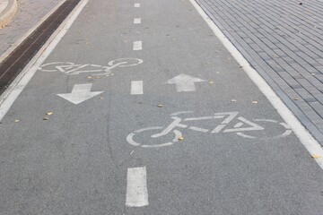 Bicycle road sign on asphalt Bicycle path in the morning in the city in summer with elms Direction of movement of the bike Cycle path direction sign painted on the carriageway on the city street of