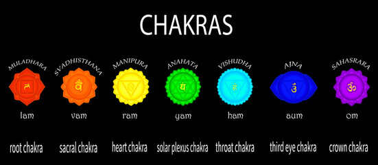 Chakras set: muladhara, swadhisthana, manipura, anahata, vishuddha, ajna, sahasrara. Om sign. Vector