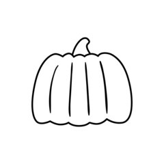 Pumpkin vector outline illustration. Cute pumpkin on white background. Element for autumn decorative design, harvest.