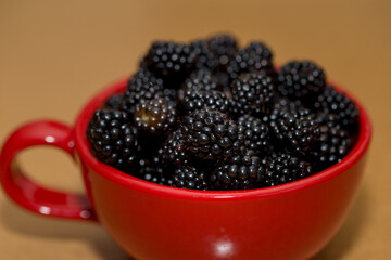 Blackberry with beneficial and healing properties for the whole body