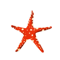 Starfish on an isolated white background. Red star with white pattern. Summer time raster illustration in realism style