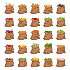 Collection of detailed bags filled with vegetables and fruits.