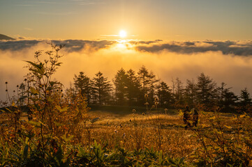 高原から見る日の出