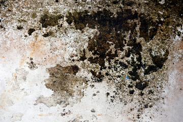 texture