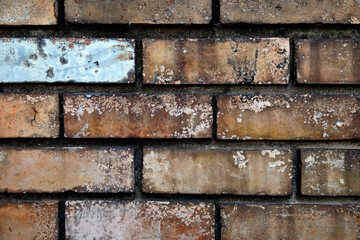 old brick wall