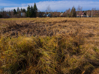 Golden autumn in a village near Moscow