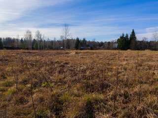 Obraz premium Golden autumn in a village near Moscow