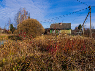 Golden autumn in a village near Moscow