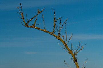 Herbstspaziergang