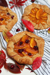 Pumpkin tart close up photo. Squash galette with cranberries, honey and cinnamon. Thanksgiving day dessert. Food still life. Autumn on a table. 