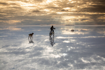 boy riding a bike with dog on the reflection of a salt lake with sunset
