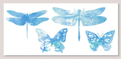 Vector set of elements in watercolor style: butterfly and dragonflyl. Composition of llustrations on wall in white frames