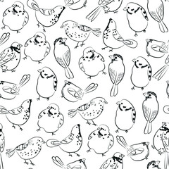 Sparrow, Bullfinch, set of hand drawn birds. Concept for wallpaper, texture, cards