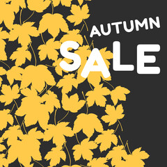 Autumn sale. Discount banner with fall yellow leaves on background.