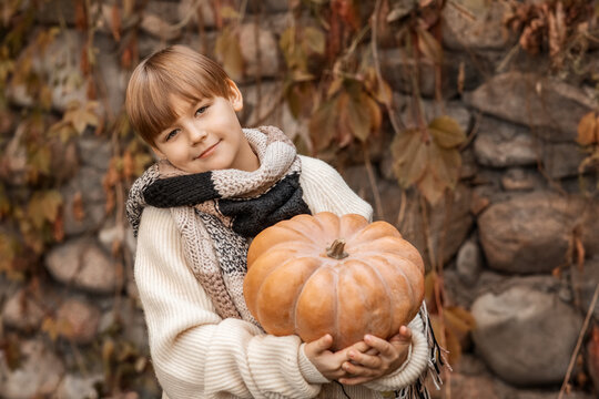 Portrait of a cute boy with pumpkins. The concept of autumn, harvest, Halloween