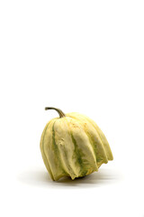 Isolated photos of decorative pumpkins