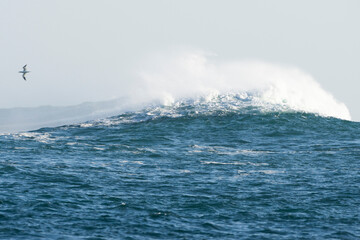 La vague