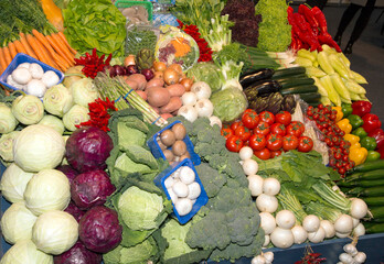 Assortment of vegetables for healthy eating. Seasonal harvest various vegetables