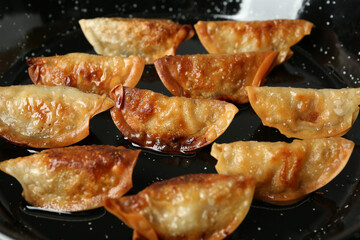 Cooking gyoza on frying pan with hot oil, closeup