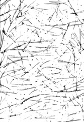 Background with mess of fir-needles silhouettes, small specks. Black on white grunge texture. Nature graphic background. Perfect for eco goods decoration