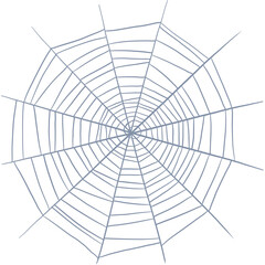 Obraz premium Spider web