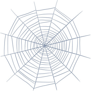Spider web