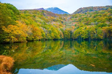 青森県　蔦沼の紅葉