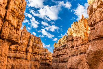 Bryce Canyon National Park Hoodoo Tops at Sunrise