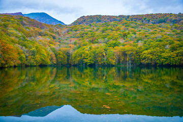 青森県　蔦沼の紅葉