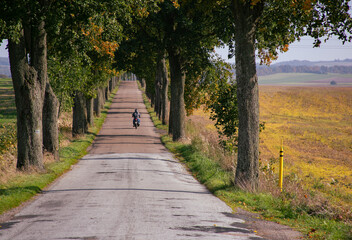 Motocyclist road between autumn trees