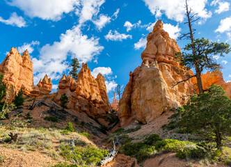 Bryce Canyon National Park Queen's Garden Trail ET Hoodoo Rock Formation